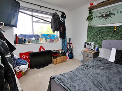 Picture 21